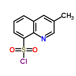 3-Methylquinoline-8-sulfonyl chloride_74863-82-4