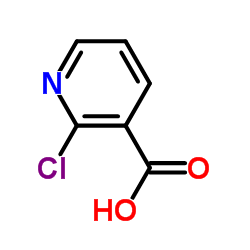 2-Chloronicotinic acid_2942-59-8