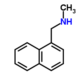 1-Methyl-aminomethyl naphthalene_14489-75-9