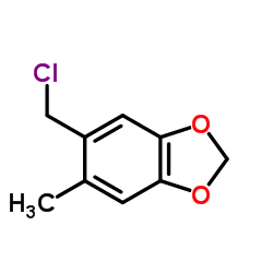 5-(chloromethyl)-6-methyl-1,3-benzodioxole_117661-72-0