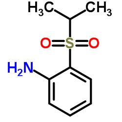 1-Amino-2-(isopropylsulphonyl)benzene_76697-50-2