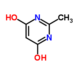 4,6-Dihydroxy-2-methylpyrimidine_40497-30-1