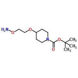 4-[2-(Aminooxy)ethoxy]-1-piperidinecarboxylic acid 1,1-dimethylethyl ester_1452466-34-0