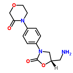 (S)-4-(4-(5-(Aminomethyl)-2-oxooxazolidin-3-yl)phenyl)morpholin-3-one_446292-10-0