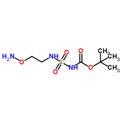 N-[[[2-(Aminooxy)ethyl]amino]sulfonyl]carbamic acid 1,1-dimethylethyl ester_1452466-39-5