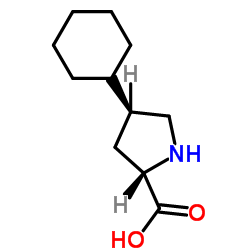 trans-4-Cyclohexyl-L-proline_103201-78-1
