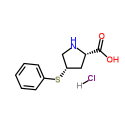 (4S)-4-(Phenylthio)-L-proline Hydrochloride_105107-84-4