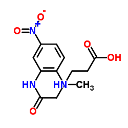 5-[2-(methylamino)-5-nitroanilino]-5-oxopentanoic acid_91644-13-2