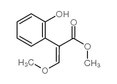 methyl (E)-2-(2-hydroxyphenyl)-3-methoxyprop-2-enoate_125808-20-0