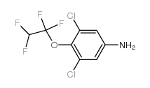 3,5-Dichloro-4-(1,1,2,2-tetrafluoroethoxy)aniline_104147-32-2