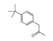 1-(4-tert-butylphenyl)propan-2-one_81561-77-5