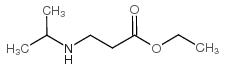 Ethyl 3-(isopropylamino)propanoate_16217-22-4