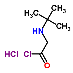 2-(tert-butylamino)acetyl chloride,hydrochloride_915725-52-9