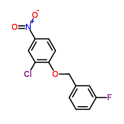 2-Chloro-1-((3-fluorobenzyl)oxy)-4-nitrobenzene_443882-99-3