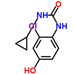 1-(2-chloro-4-hydroxyphenyl)-3-cyclopropylurea_796848-79-8