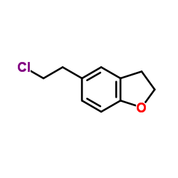 5-(2-chloroethyl)-2,3-dihydro-1-benzofuran_943034-50-2