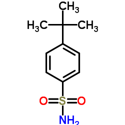 4-Tert-Butylbenzenesulfonamide_6292-59-7