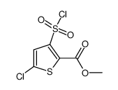 methyl 5-chloro-3-(chlorosulfonyl)-thiophene-2-carboxylate_126910-68-7