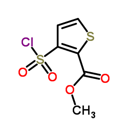 Methyl 3-chlorosulfonylthiophene-2-carboxylate_59337-92-7