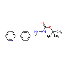 1-Boc-2-[4-(2-pyridinyl)benzylidene]hydrazine_198904-85-7