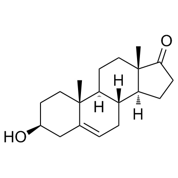 dehydroepiandrosterone_53-43-0