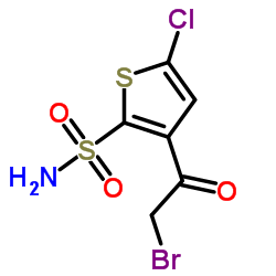 3-(2-Bromoacetyl)-5-chlorothiophene-2-sulfonamide_160982-11-6