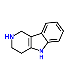 2,3,4,5-Tetrahydro-1H-pyrido[4,3-b]indole_6208-60-2