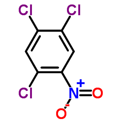 2,4,5-Trichloronitrobenzene_89-69-0