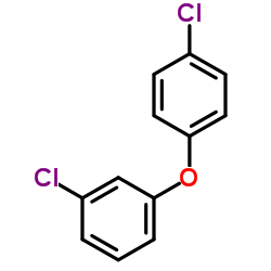 3,4'-Dichlorodiphenyl ether_6842-62-2