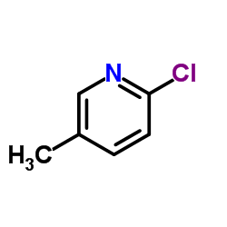 2-Chloro-5-methylpyridine_18368-64-4
