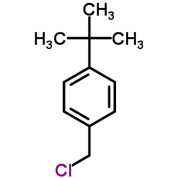 1-tert-butyl-4-(chloromethyl)benzene_19692-45-6