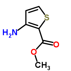 methyl 3-aminothiophene-2-carboxylate_22288-78-4