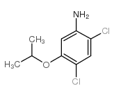 2,4-Dichloro-5-Isopropoxyaniline_41200-96-8