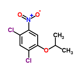1,5-dichloro-2-nitro-4-propan-2-yloxybenzene_41200-97-9