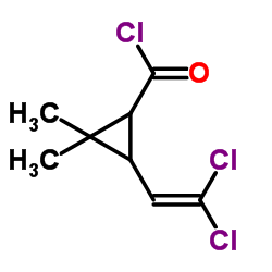3-(2,2-dichloroethenyl)-2,2-dimethylcyclopropane-1-carbonyl chloride_52314-67-7