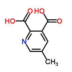 5-Methylpyridine-2,3-dicarboxylic acid_53636-65-0