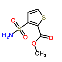 Methyl 3-aminosulfonylthiophene-2-carboxylate_59337-93-8