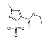 ethyl 3-chlorosulfonyl-1-methylpyrazole-4-carboxylate_93621-38-6