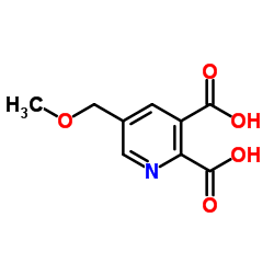 5-(Methoxymethyl)pyridine-2,3-dicarboxylic acid_143382-03-0