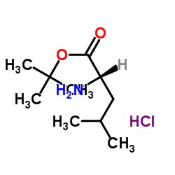 L-Leucine tert-butyl ester hydrochloride_2748-02-9