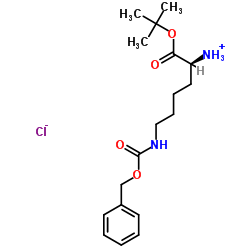 N'-Cbz-L-lysine tert-butyl ester hydrochloride_5978-22-3