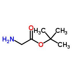 Tert-Butyl Glycinate_6456-74-2