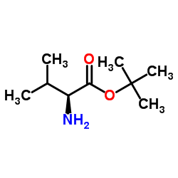 tert-Butyl L-valinate_13211-31-9