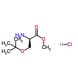 O-tert-Butyl-L-serine methyl ester hydrochloride_17114-97-5