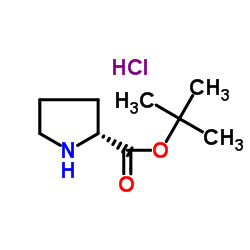 tert-butyl (2R)-pyrrolidine-2-carboxylate,hydrochloride_184719-80-0