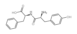 2-[[2-amino-3-(4-hydroxyphenyl)propanoyl]amino]-3-phenylpropanoic acid_17355-11-2