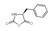(4S)-4-benzyl-1,3-oxazolidine-2,5-dione_14825-82-2