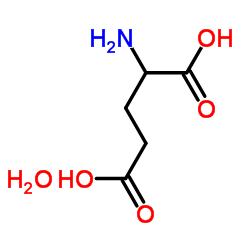 DL-Glutamic acid monohydrate_19285-83-7