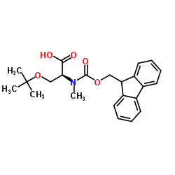 N-Fmoc-N-Methyl-O-tert-butyl-L-serine_197632-77-2