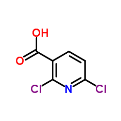 2,6-Dichloronicotinic acid_38496-18-3